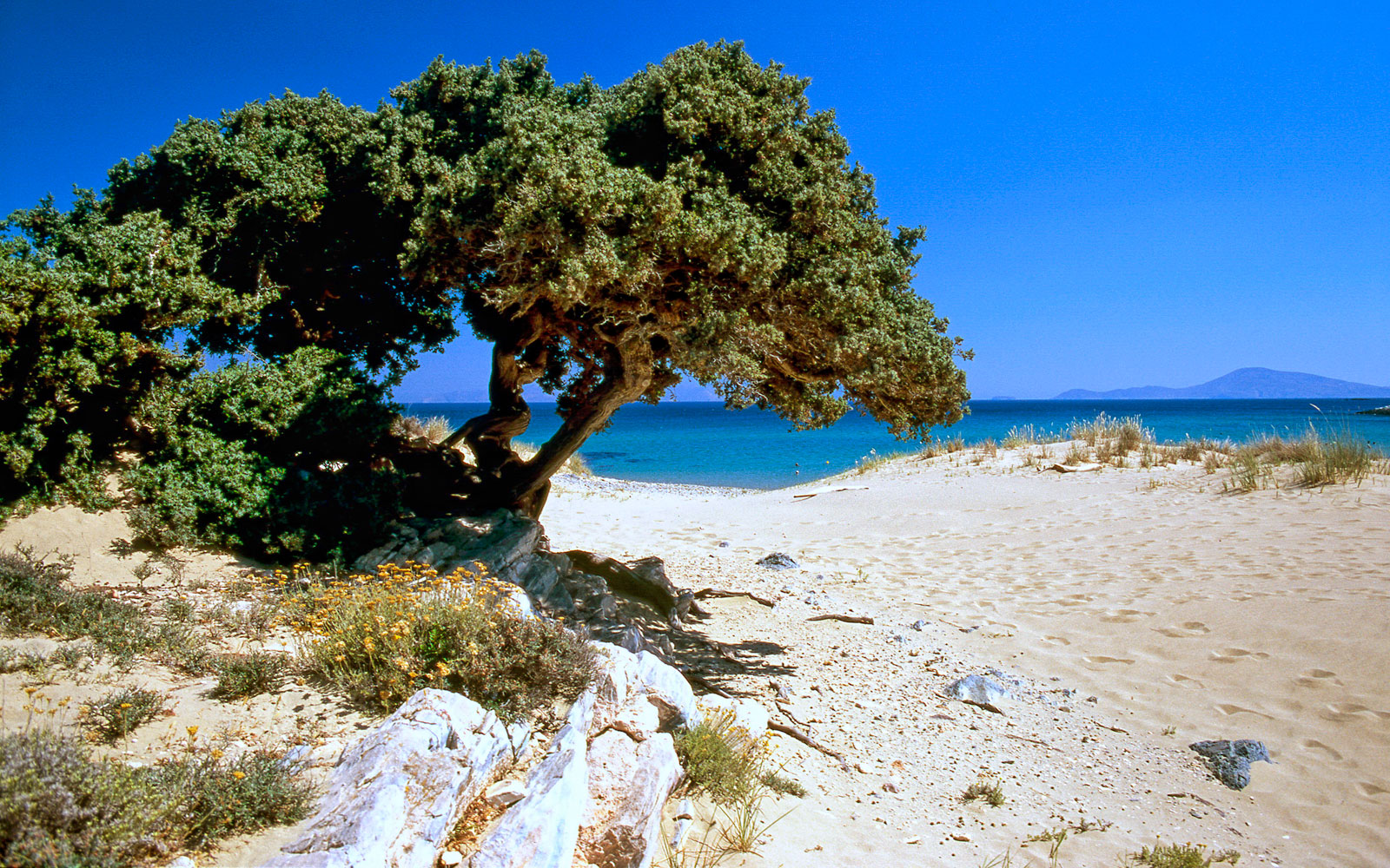 Pirgaki beach - Naxos